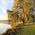 To Kincse Vendeghaz *