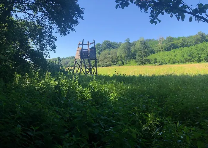 Villa Tó Kincse Kustánszeg